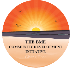 BME Mentors